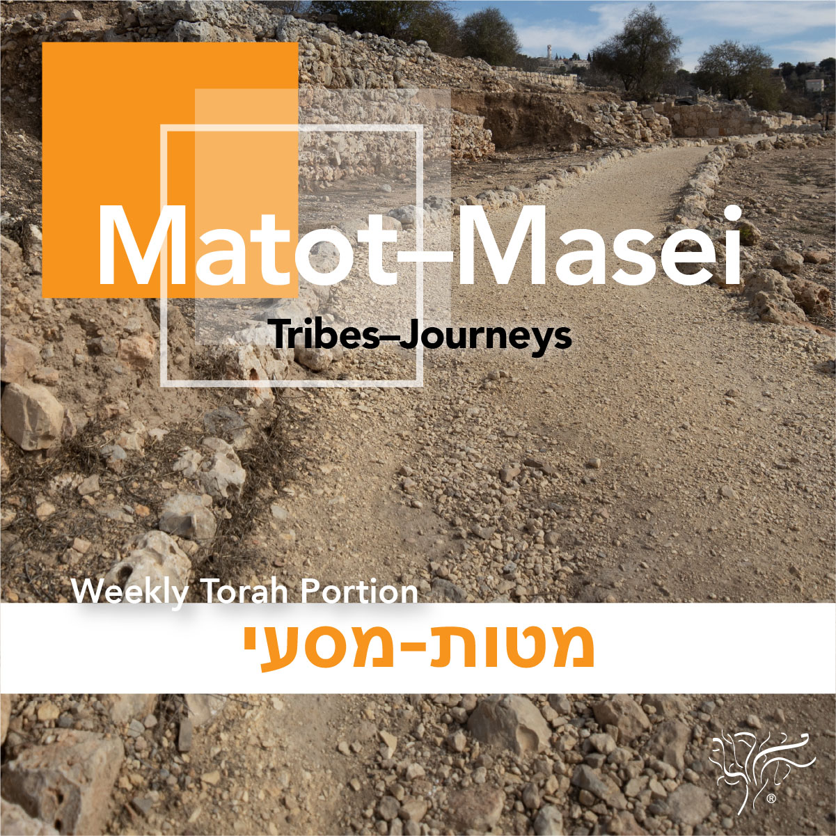 Torah Portion Matot–Masei STBM Messer